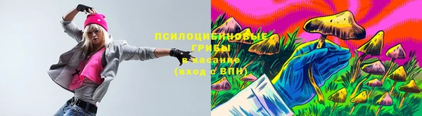 бошки Абаза