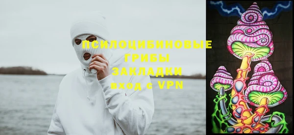 бошки Абаза