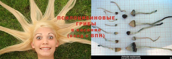 меф Абдулино