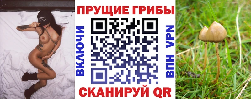 Псилоцибиновые грибы мицелий  Карталы 