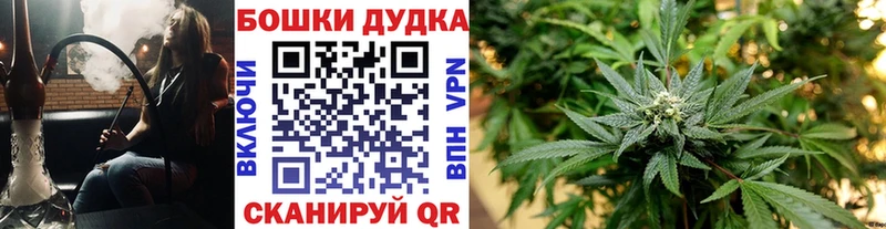 Бошки Шишки план  МЕГА рабочий сайт  Карталы 